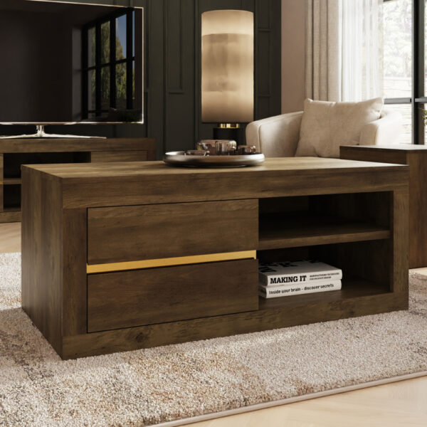 Arnhem Wooden Coffee Table With 2 Drawers - Knotty Oak