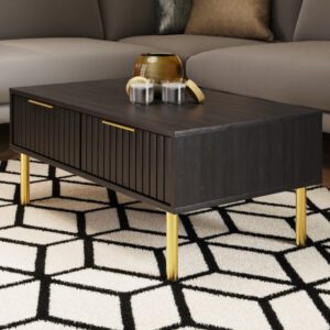 Natick Wooden Coffee Table With 2 Drawers In Black